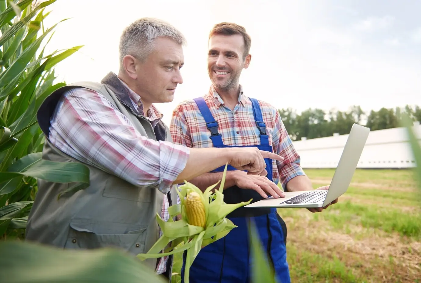 Joven agricultor atendiendo su negocio